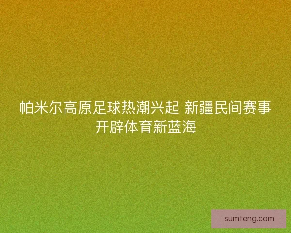 帕米尔高原足球热潮兴起 新疆民间赛事开辟体育新蓝海