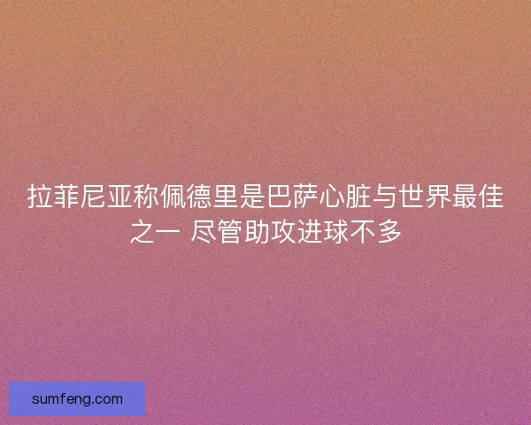 拉菲尼亚称佩德里是巴萨心脏与世界最佳之一 尽管助攻进球不多