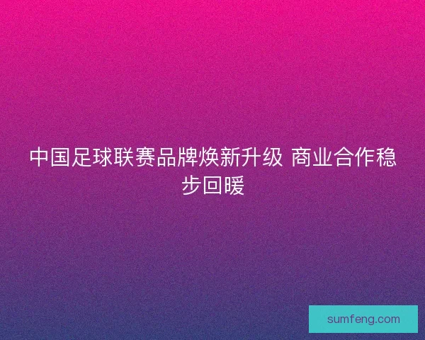 中国足球联赛品牌焕新升级 商业合作稳步回暖